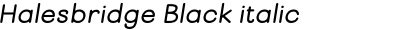 Halesbridge Black italic